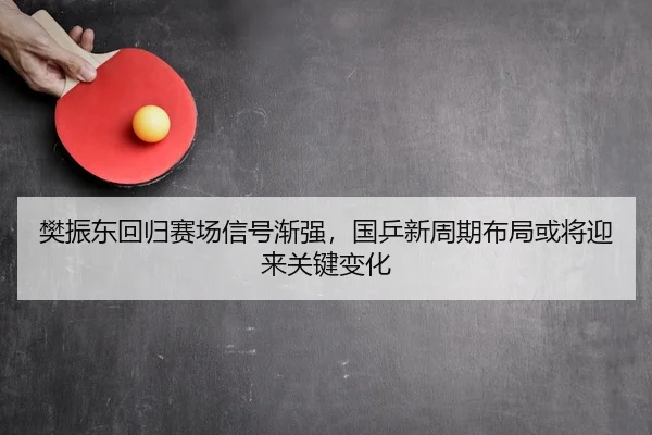 樊振东回归赛场信号渐强，国乒新周期布局或将迎来关键变化